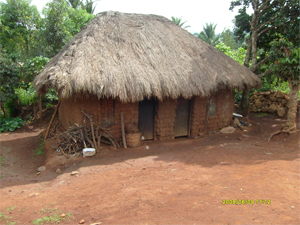 cameroon hut landscape ndop village house tour